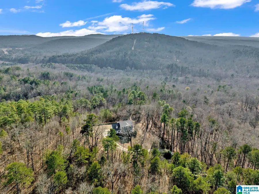 1002 LONG LEAF TRAIL, Warrior, AL 35180 - Image #3