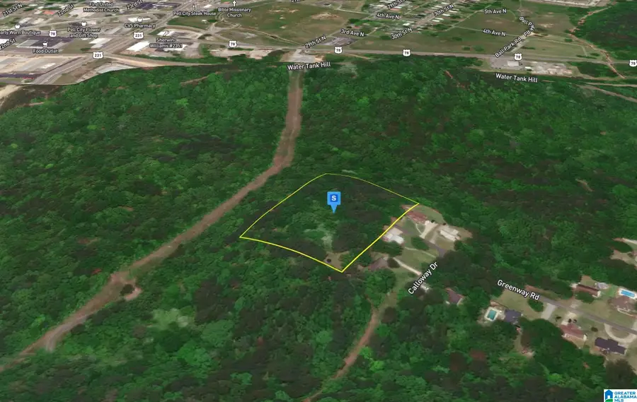 2555 GREENWAY ROAD, Pell City, AL 35128 - #3