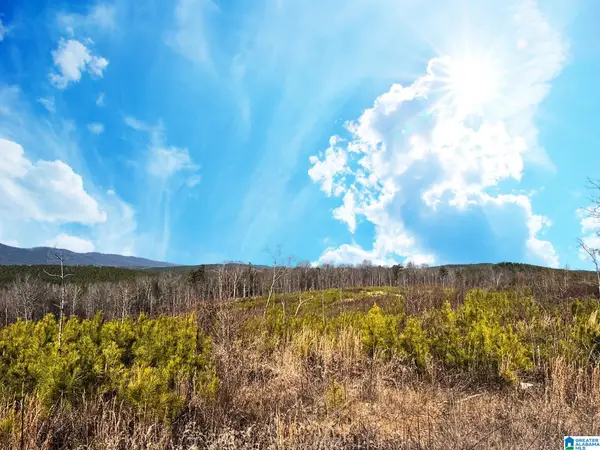 0 US HIGHWAY 278 W, Piedmont, AL 36272