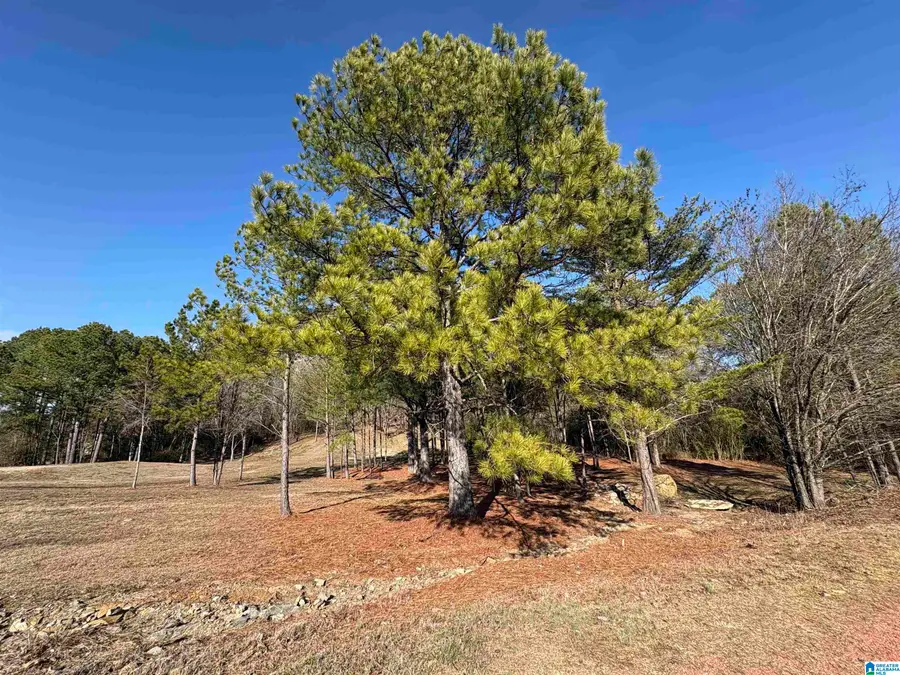 0 LORA LANE, Birmingham, AL 35214 - Image #2