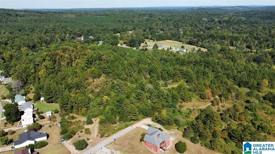 2600 LORA LANE, Birmingham, AL 35214 - Image #2