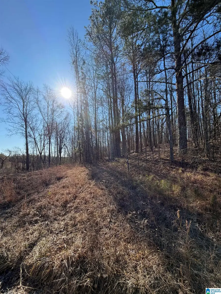 0 RIDGE ROAD, Cragford, AL 36255 - #3