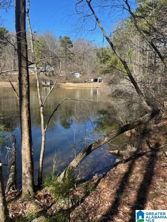 1 MOUNTAIN TOP ROAD, Birmingham, AL 35242 - Image #1