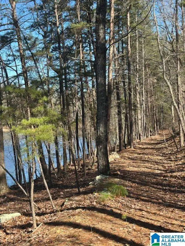 1 MOUNTAIN TOP ROAD, Birmingham, AL 35242 - Image #2