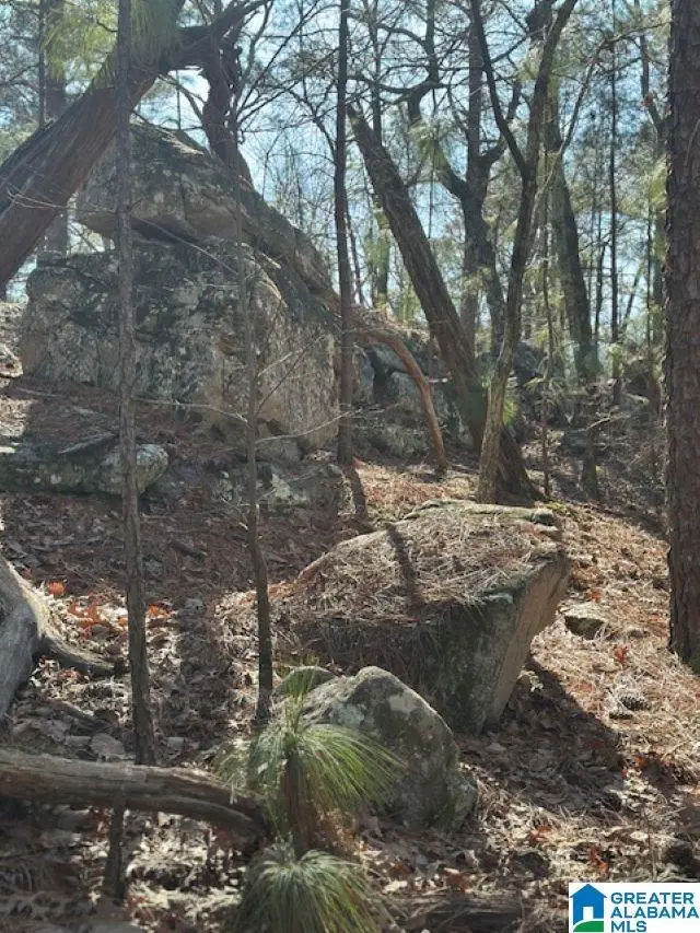 1 MOUNTAIN TOP ROAD, Birmingham, AL 35242 - Image #3