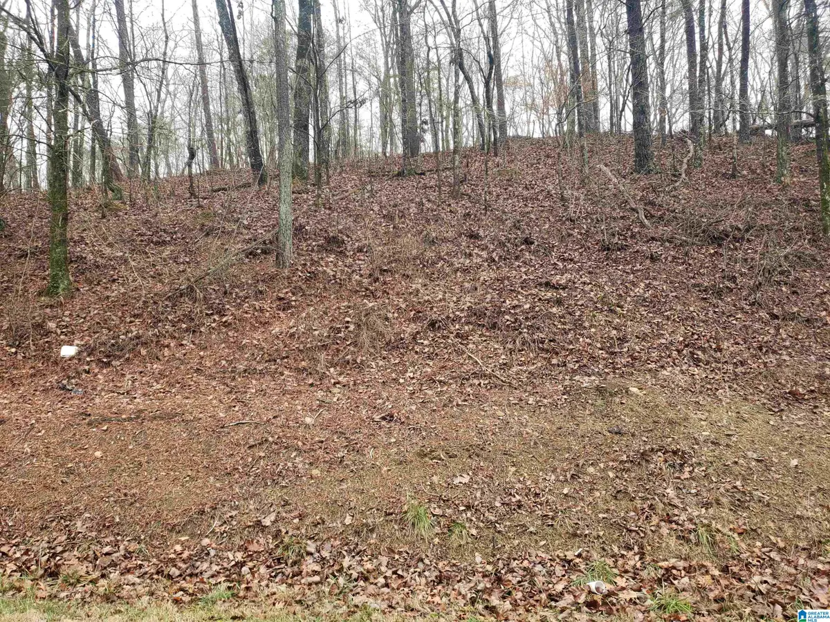 4480 SHADY GROVE ROAD, Gardendale, AL 35071 - #1