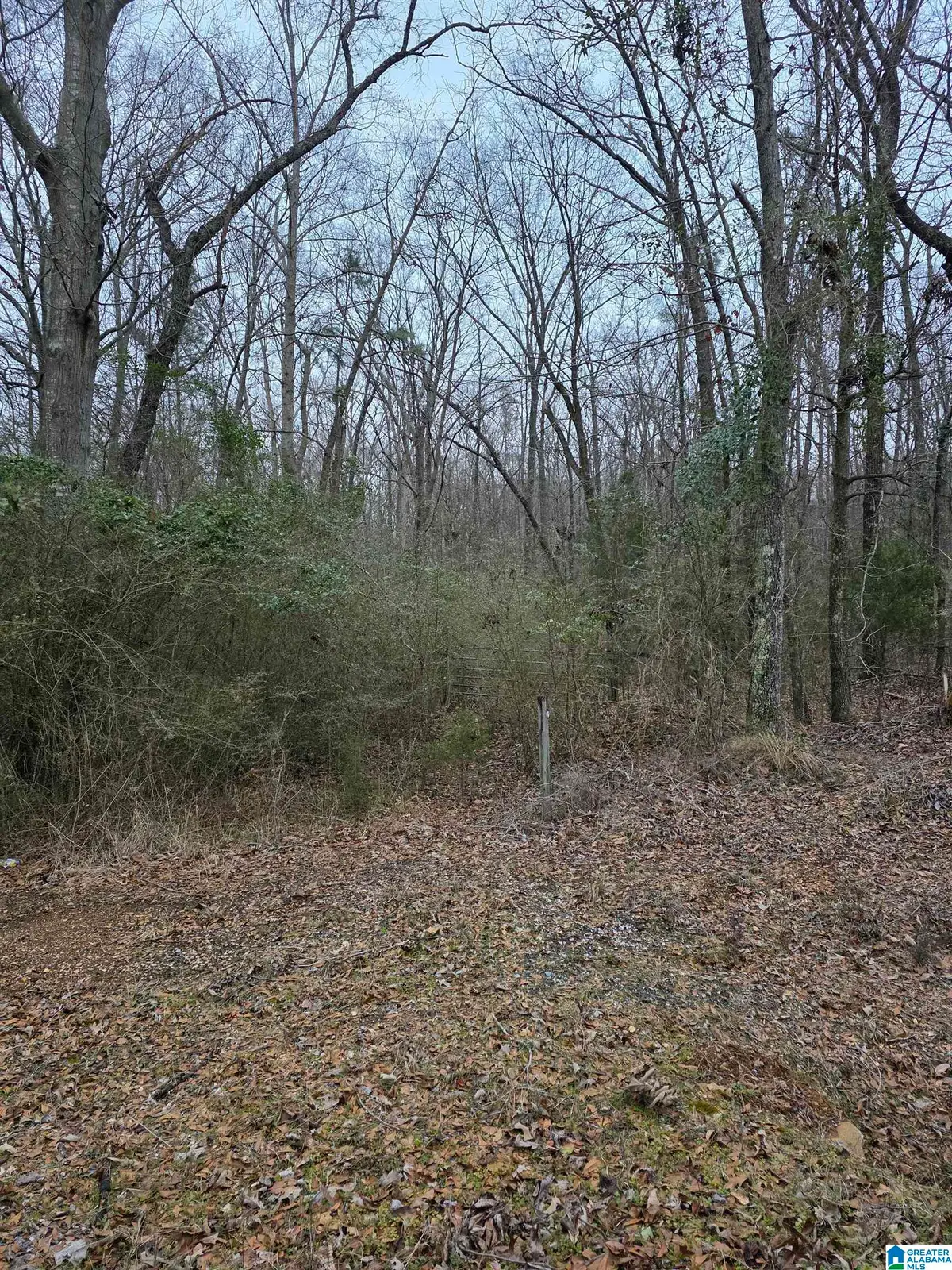 322 TUCKER ROAD, Talladega, AL 35160 - Image #1