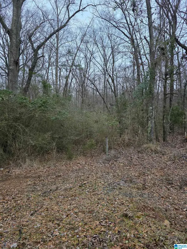 322 TUCKER ROAD, Talladega, AL 35160