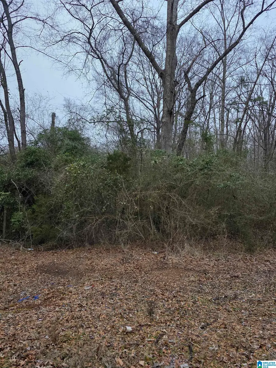 322 TUCKER ROAD, Talladega, AL 35160 - Image #2