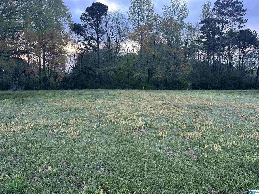 0 BROOKSIDE LANE, Oxford, AL 36203 - Image #3