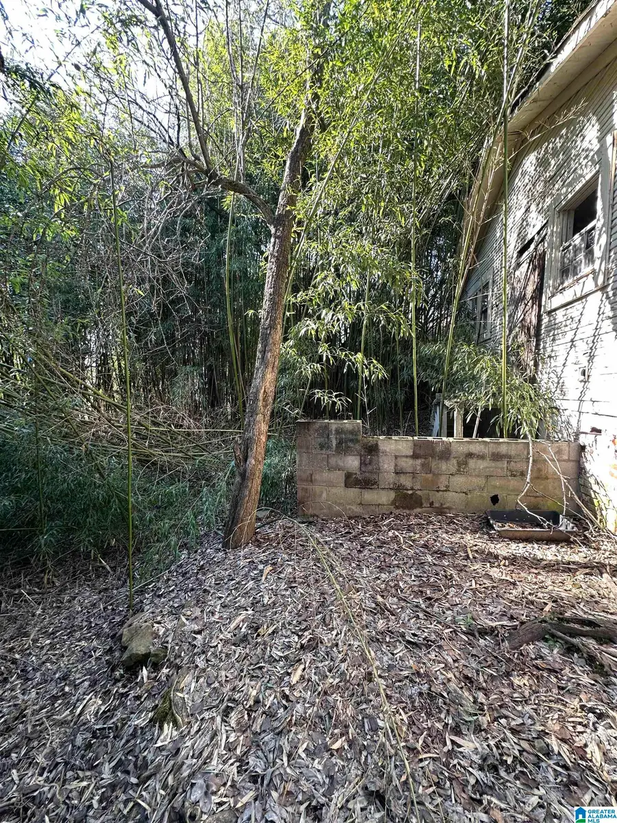 4315 5TH AVENUE, Birmingham, AL 35224 - Image #3