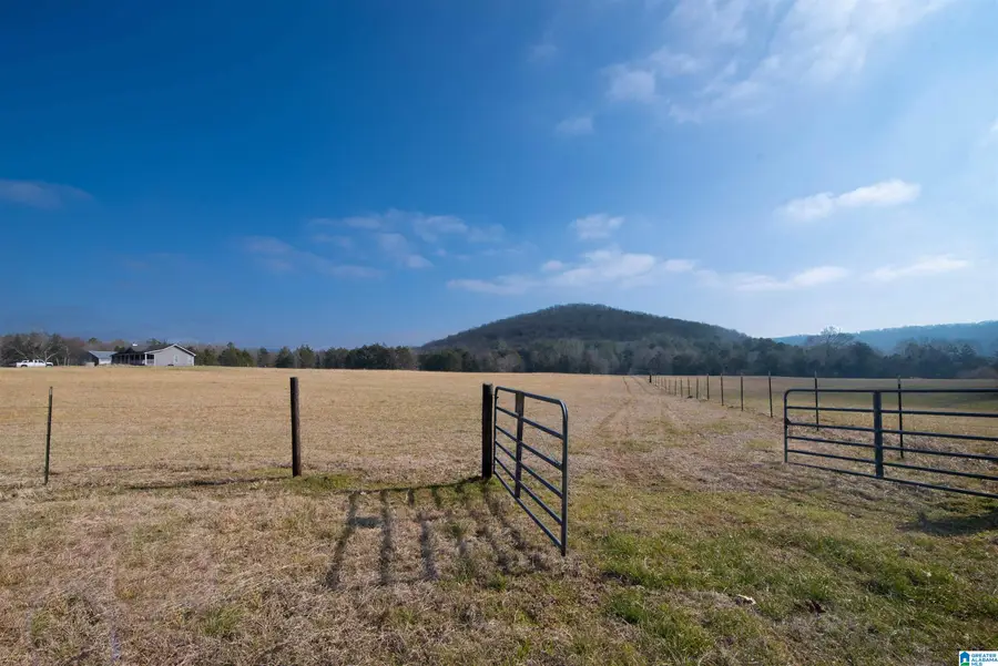 0 DAY DRIVE, Somerville, AL 35670 - #3