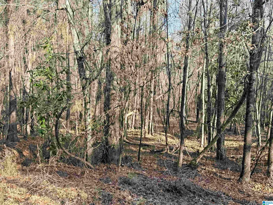 HIGHLAND STREET, Glencoe, AL 35903 - #2