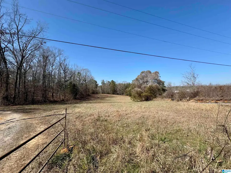 28 ROCKYVIEW ROAD, West Blocton, AL 35184 - #2