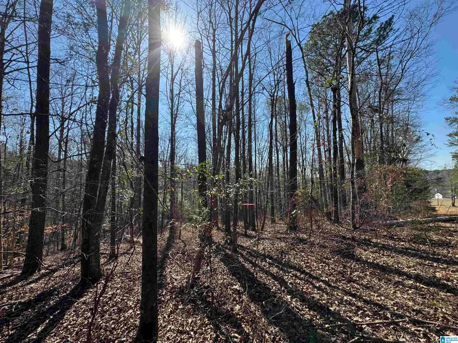 7 ROCKYVIEW ROAD, West Blocton, AL 35184 - #2