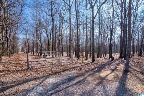 0 APPLE GROVE ROAD, Somerville, AL 35670