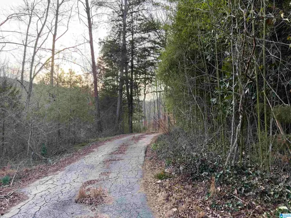 5134 DUG HOLLOW ROAD, Pinson, AL 35126