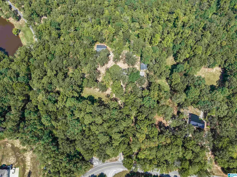 640 GRIFFIN ROAD, Chelsea, AL 35043 - #3