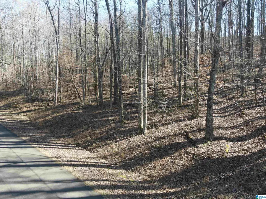 7613 COTTONRIDGE ROAD, Trussville, AL 35173 - #3