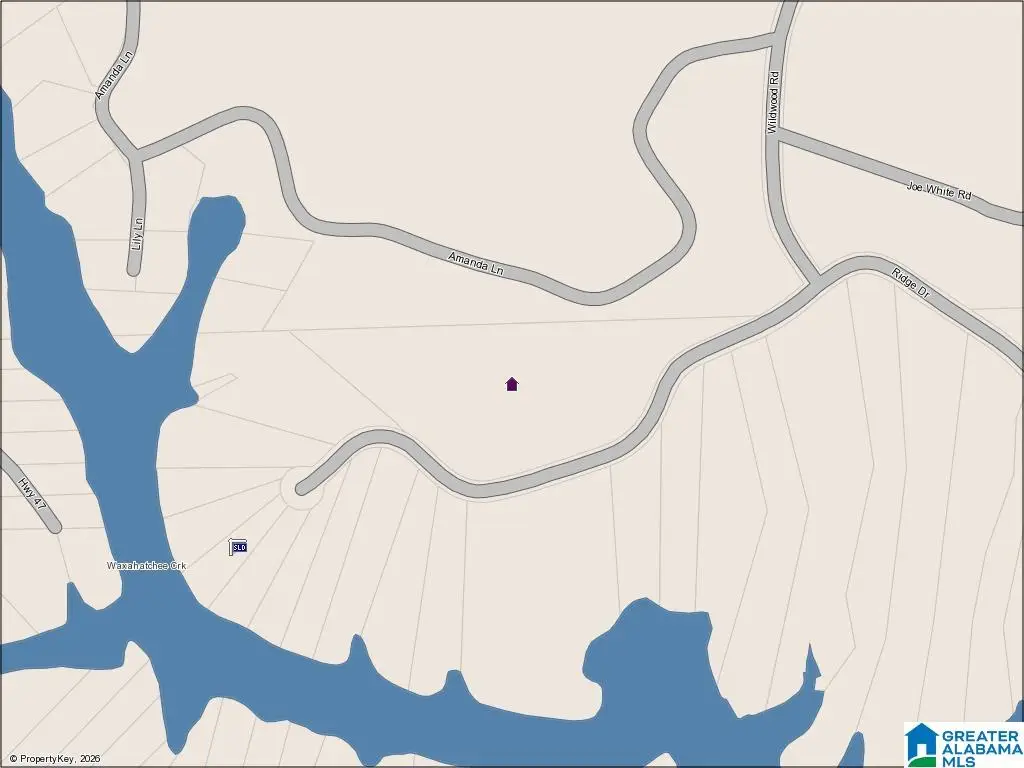 234 RIDGE LANE, Shelby, AL 35143 - #1