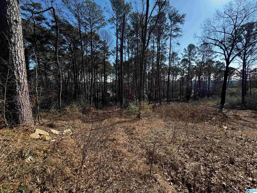 250 TWIN LAWN DRIVE, Birmingham, AL 35217 - Image #3