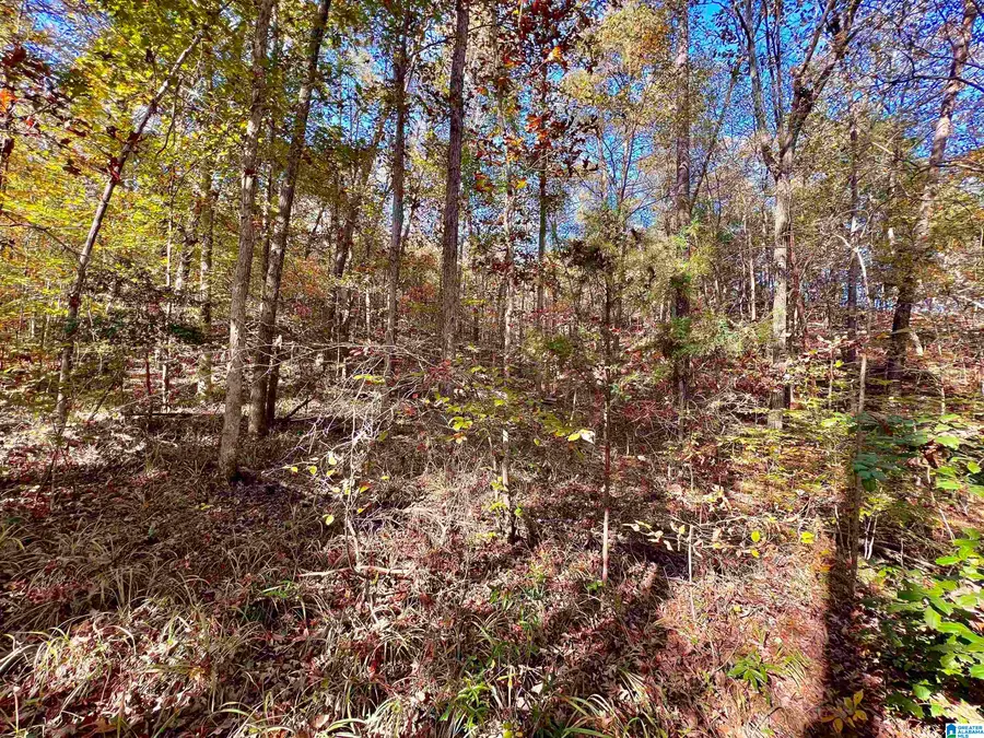 00000 NORTH RIVER CIRCLE, Northport, AL 35473 - #2