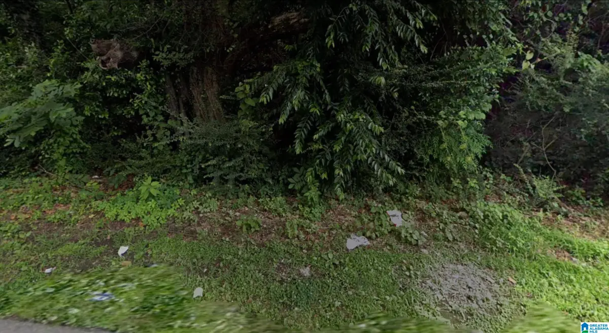 611 2ND AVENUE N, Bessemer, AL 35020 - #1