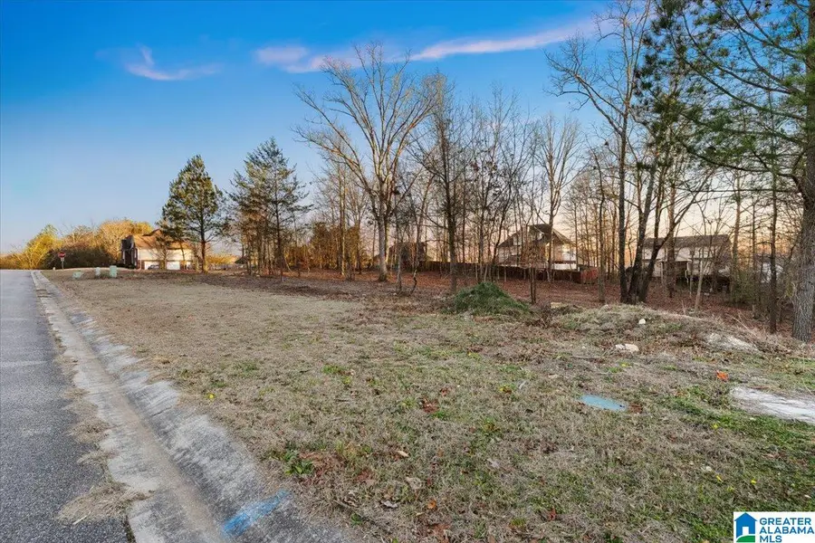 4457 LITTLELEAF WAY, Pinson, AL 35126 - #2