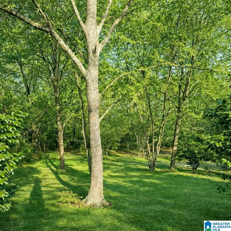 1302 LAY DAM ROAD, Clanton, AL 35045 - Image #3