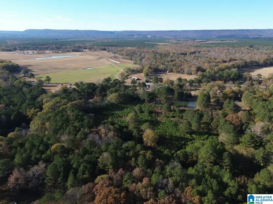 9 LOOP ROAD, Ashville, AL 35953 - #2