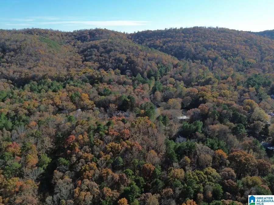 9 LOOP ROAD, Ashville, AL 35953 - #3