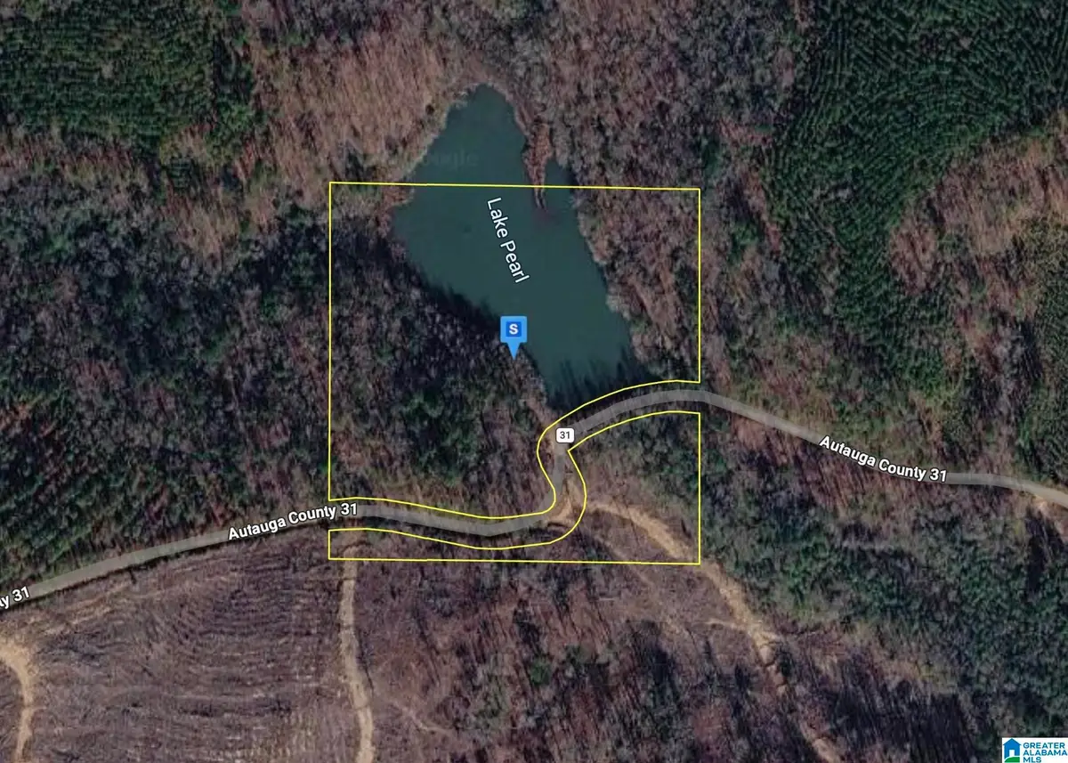 111 COUNTY ROAD 110, Plantersville, AL 36758 - #1