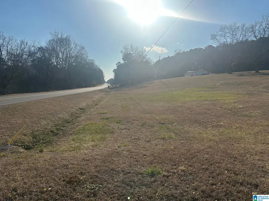 16845 US HIGHWAY 11, Springville, AL 35146 - #3