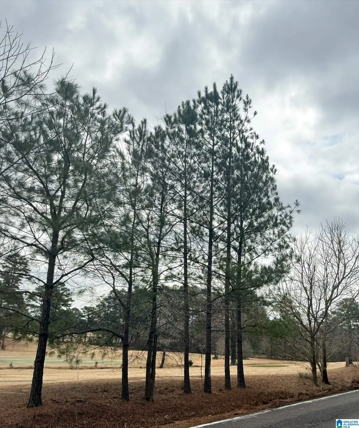 9040 MARSH MOUNTAIN ROAD, Pinson, AL 35126 - #1