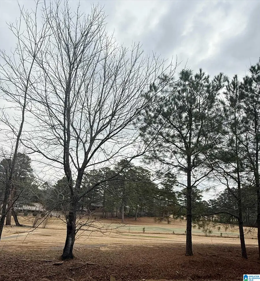 9040 MARSH MOUNTAIN ROAD, Pinson, AL 35126 - #3