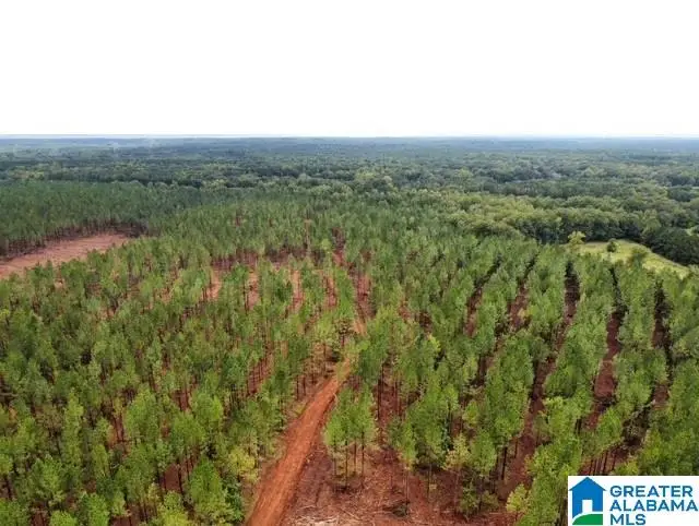 US HWY 231, Mathews, AL 36052 - #3