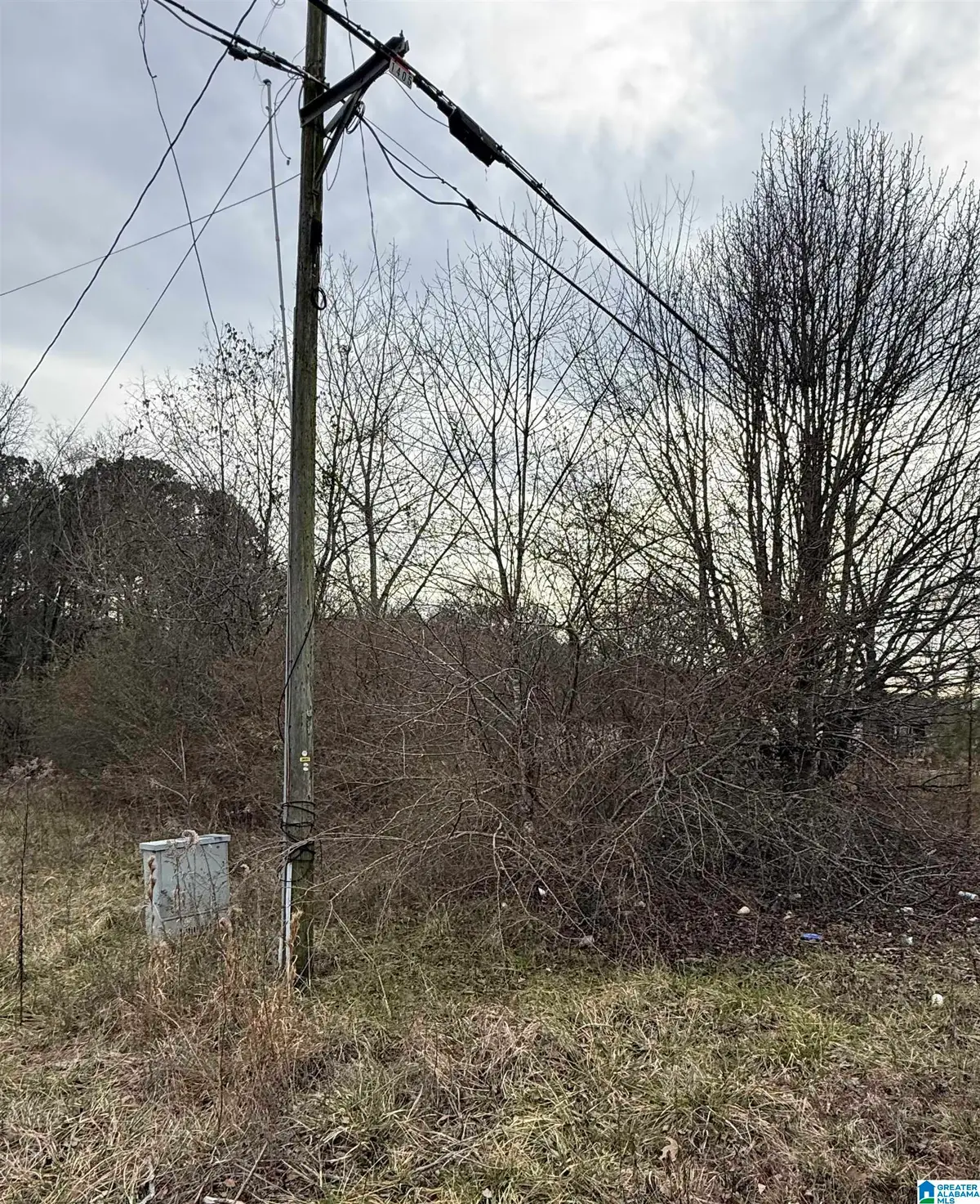 0 QUARRY ROAD, Sylacauga, AL 35150 - Image #1