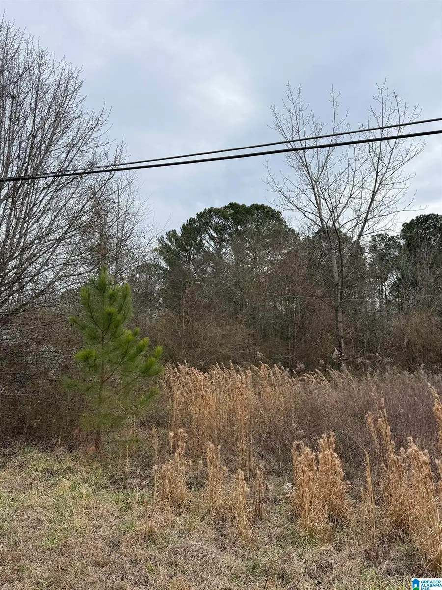 0 QUARRY ROAD, Sylacauga, AL 35150 - Image #2