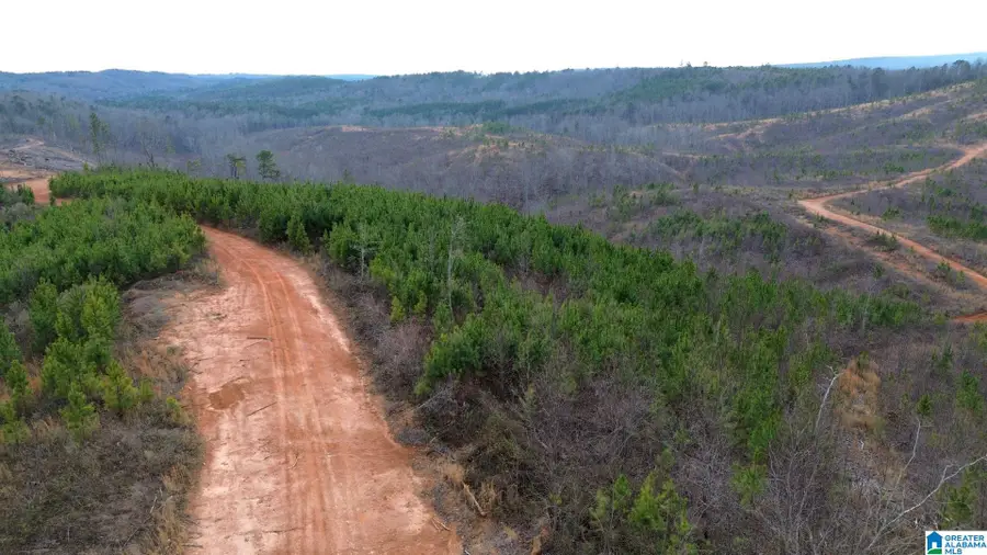 HIGHWAY 49, Lineville, AL 36266 - #2