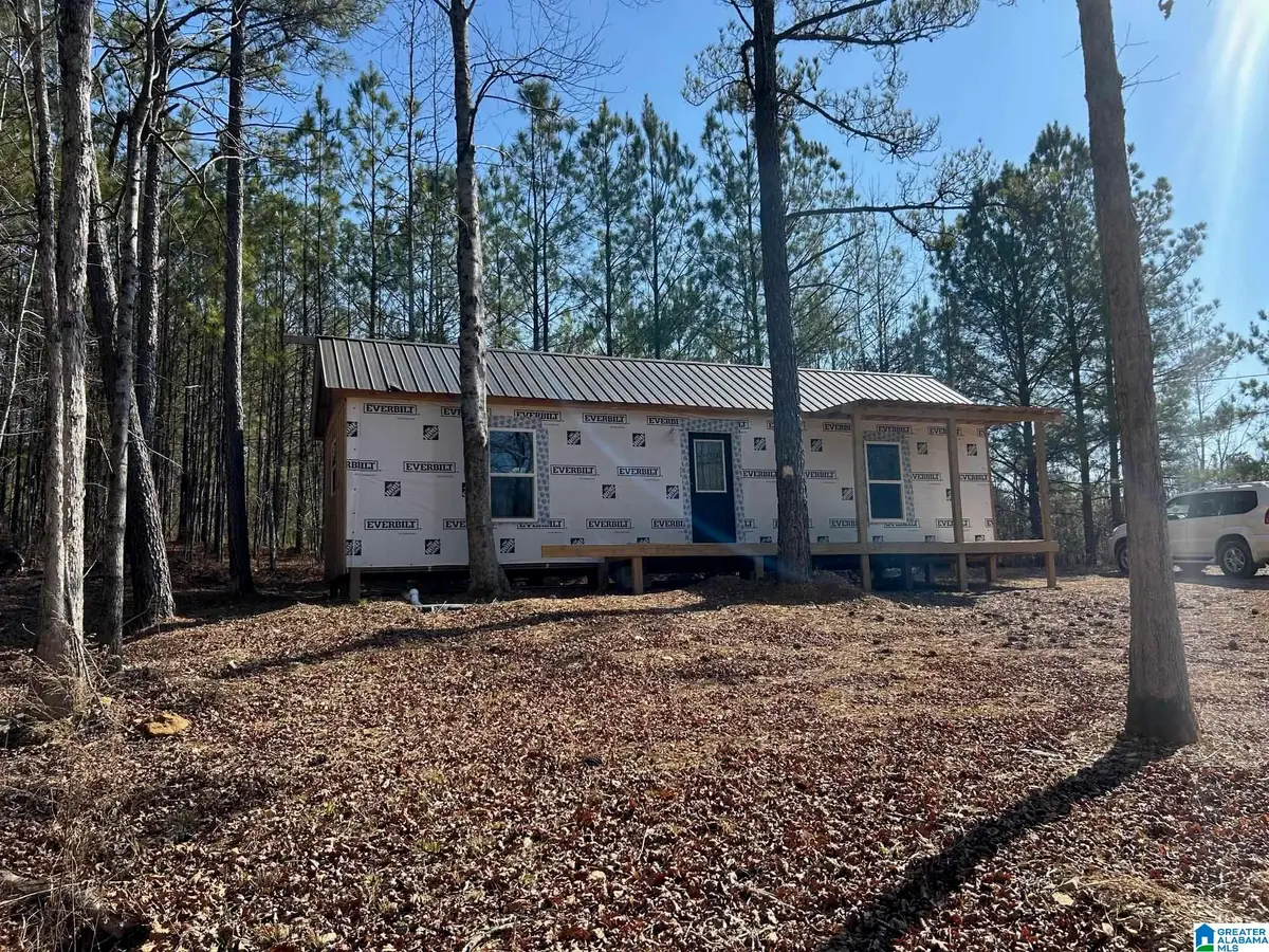 203 POPE ROAD, Ohatchee, AL 36271 - #1