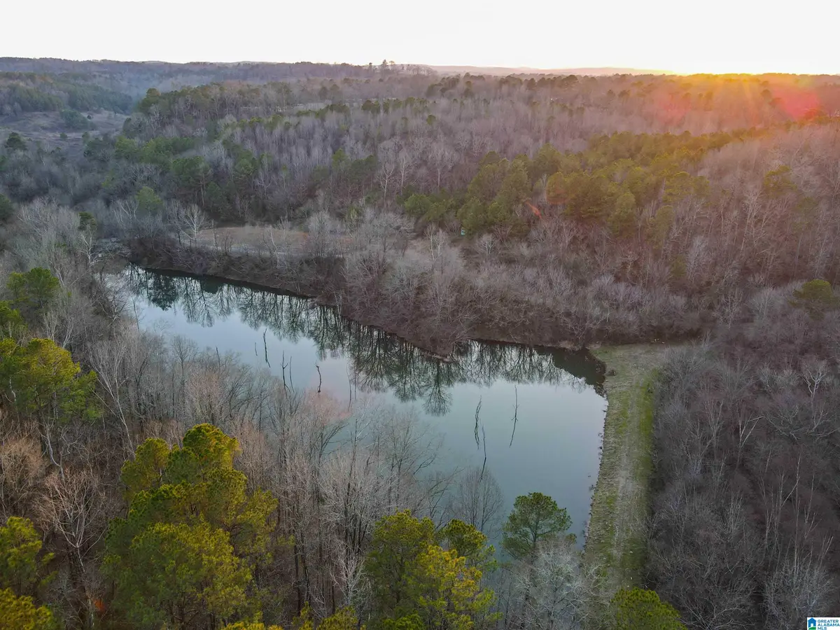 01 HULL ROAD, Empire, AL 35063 - #1