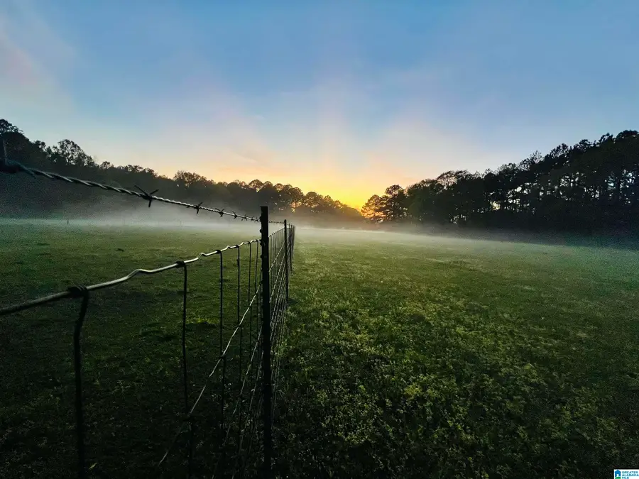 383 COUNTRY CHURCH ROAD, Harpersville, AL 35078 - #2