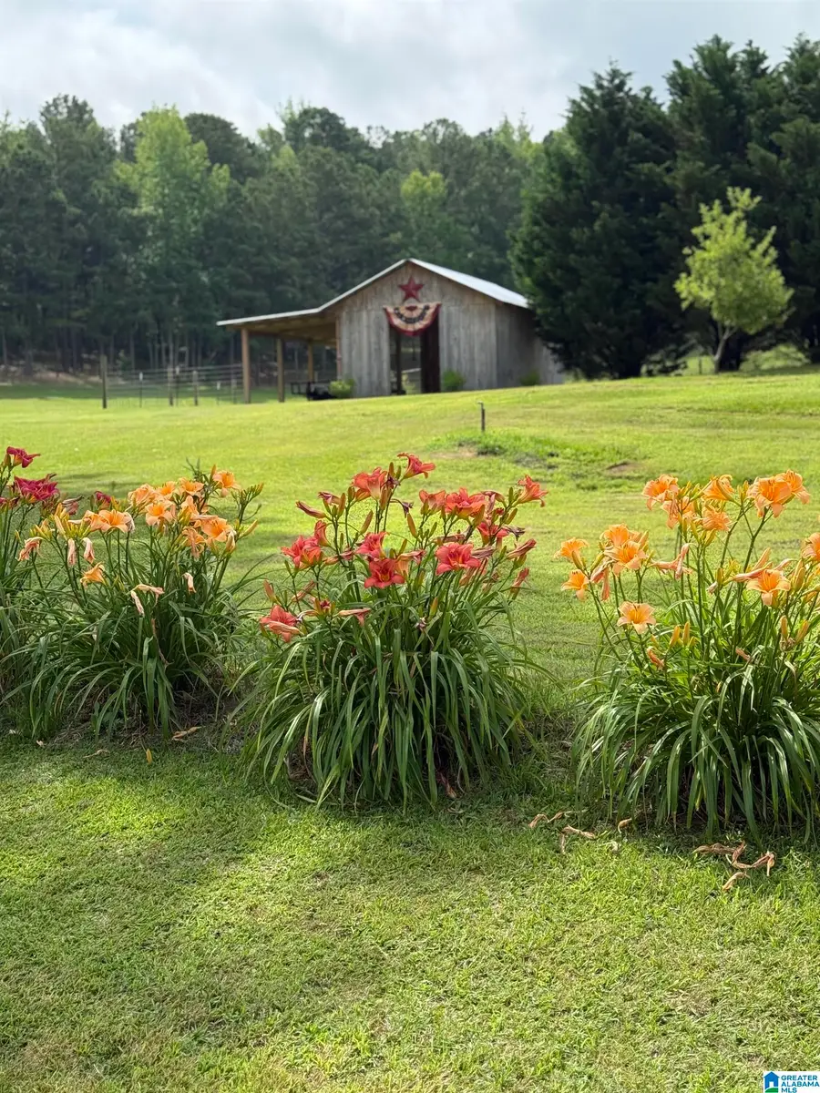 5743 COUNTY HIGHWAY 27, Springville, AL 35146 - #3