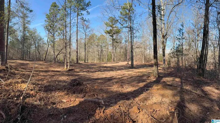 089 MCKESIE STREET, Riverside, AL 35135 - #2