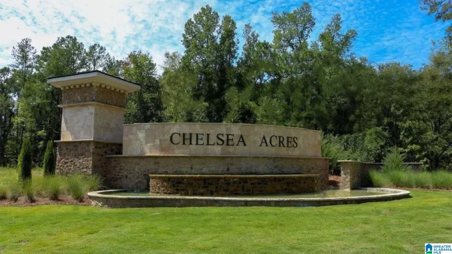 613 FISH CAMP ROAD, Chelsea, AL 35043 - #3