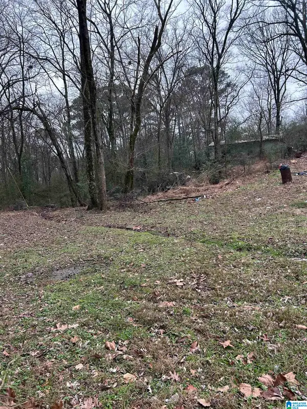 254 FLINT AVENUE, Gardendale, AL 35071