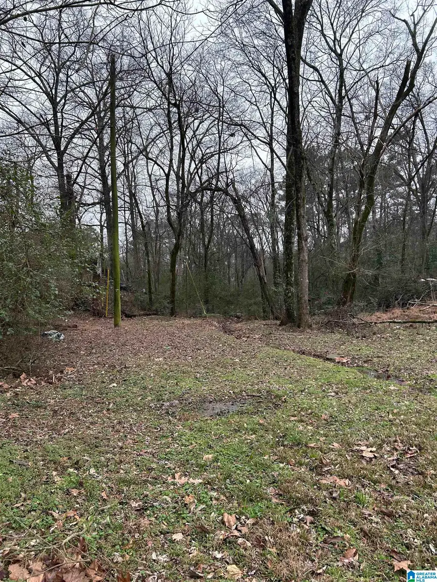 254 FLINT AVENUE, Gardendale, AL 35071 - #2