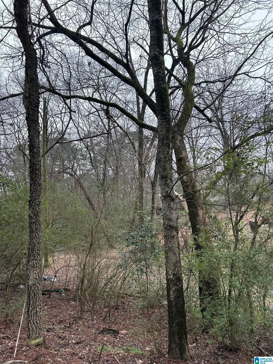 254 FLINT AVENUE, Gardendale, AL 35071 - #3