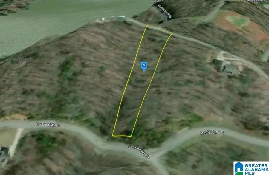 1409 LOOKOUT MTN DRIVE, Scottsboro, AL 35769 - #3