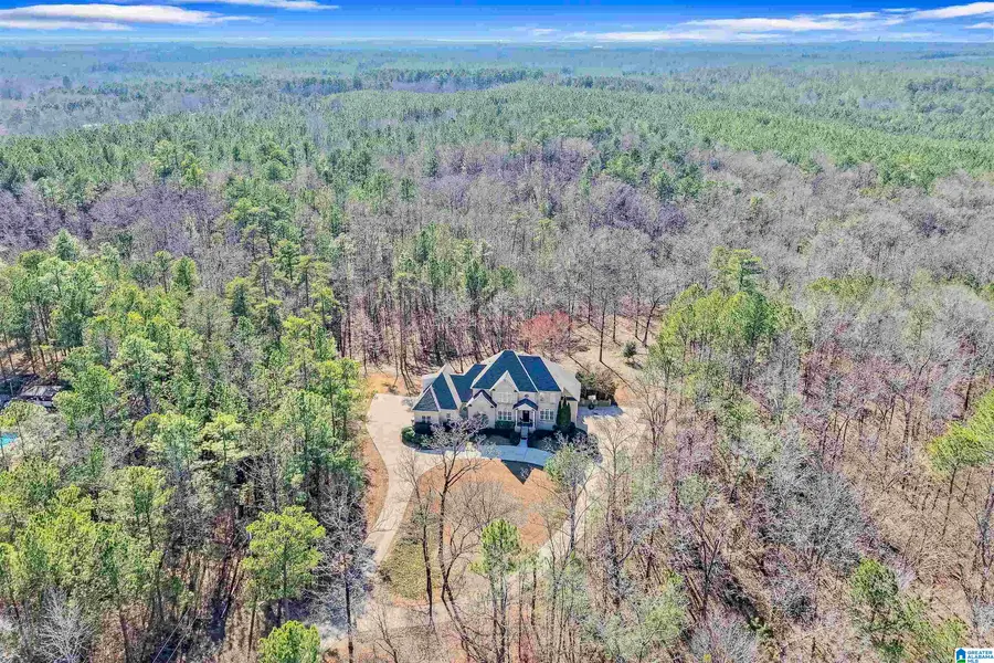 347 MCMAHON HIGHLAND ROAD, Calera, AL 35040 - #2